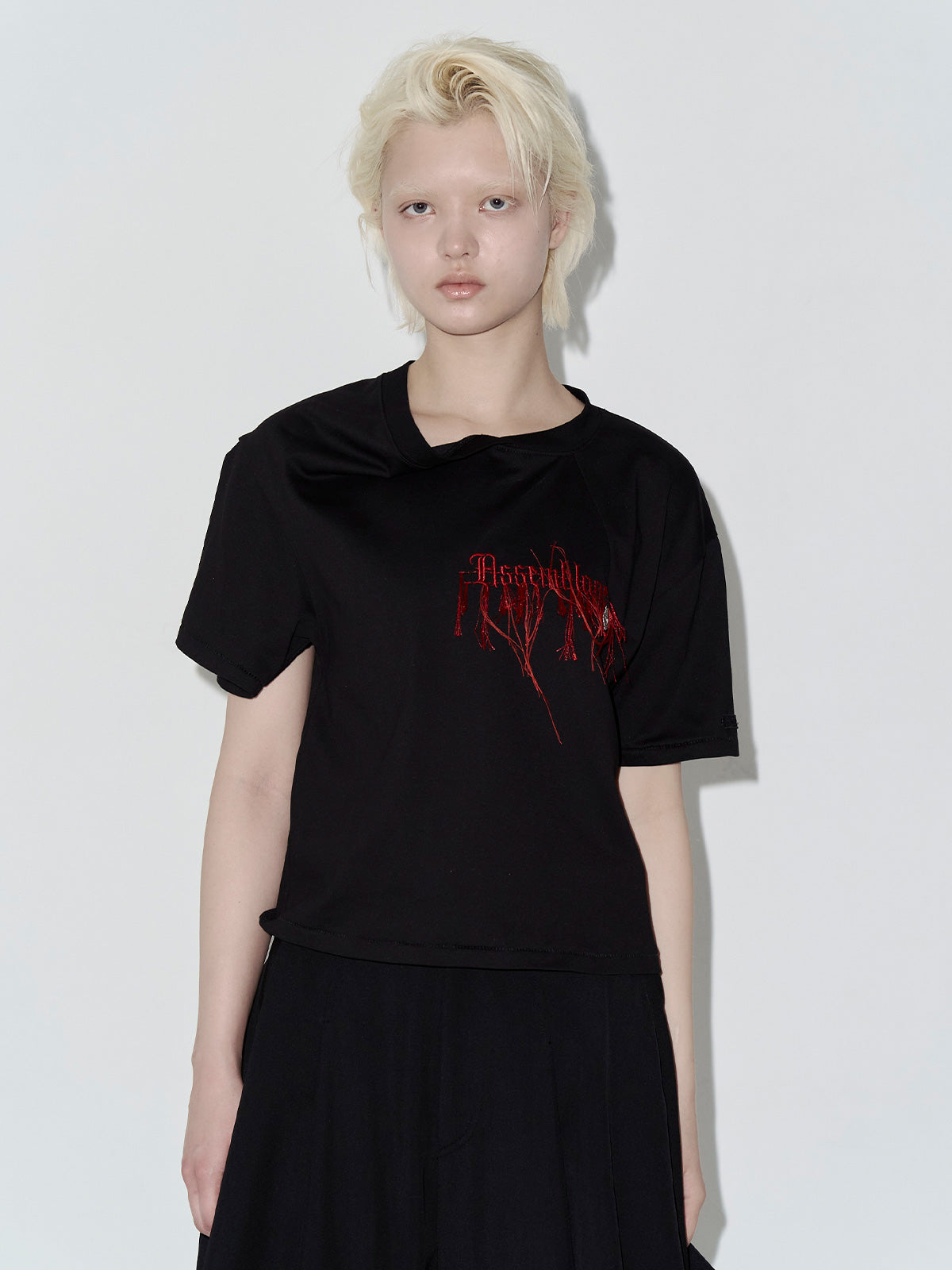 Embroidery LOGO Tshirt
