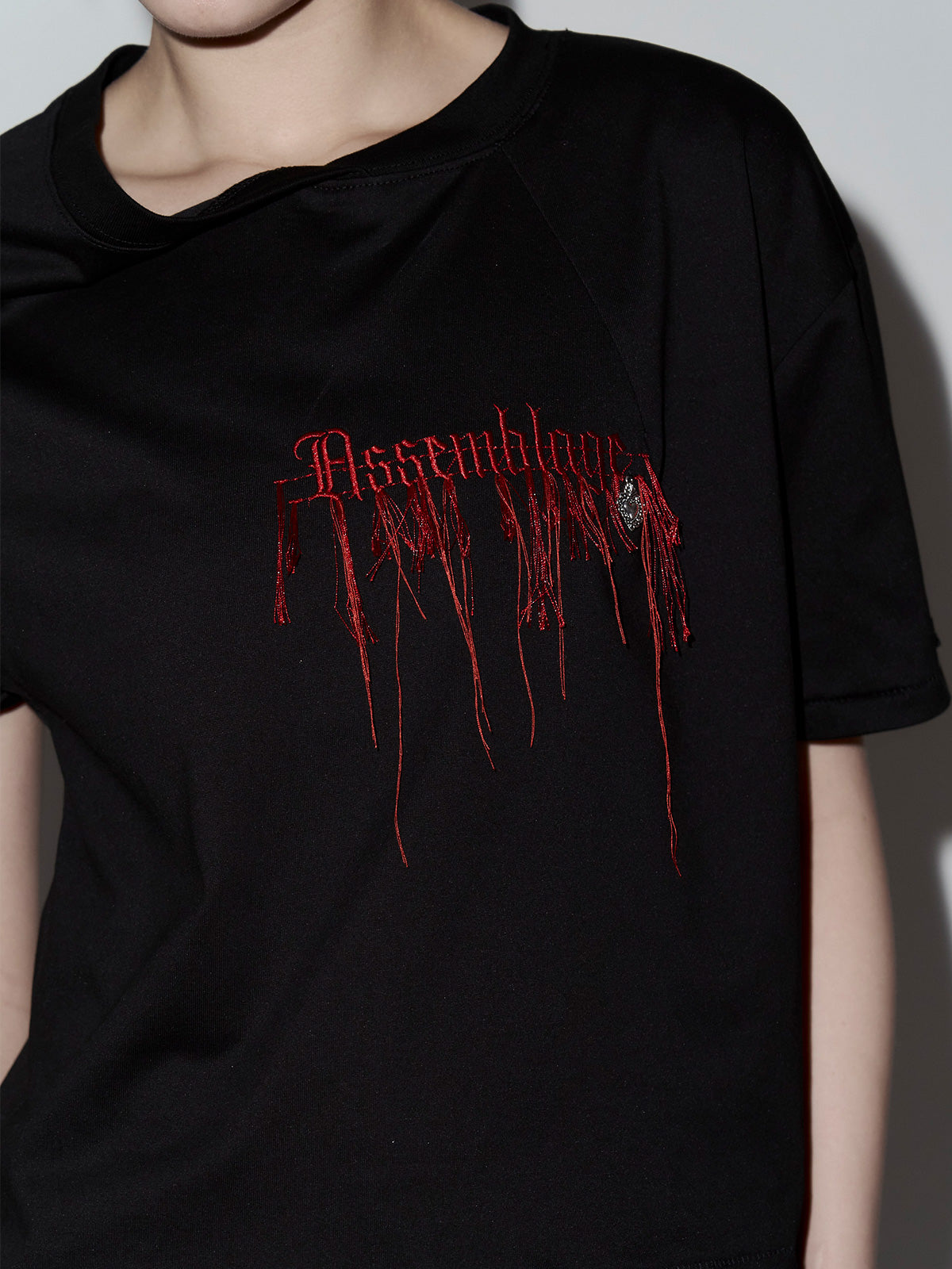 Embroidery LOGO Tshirt