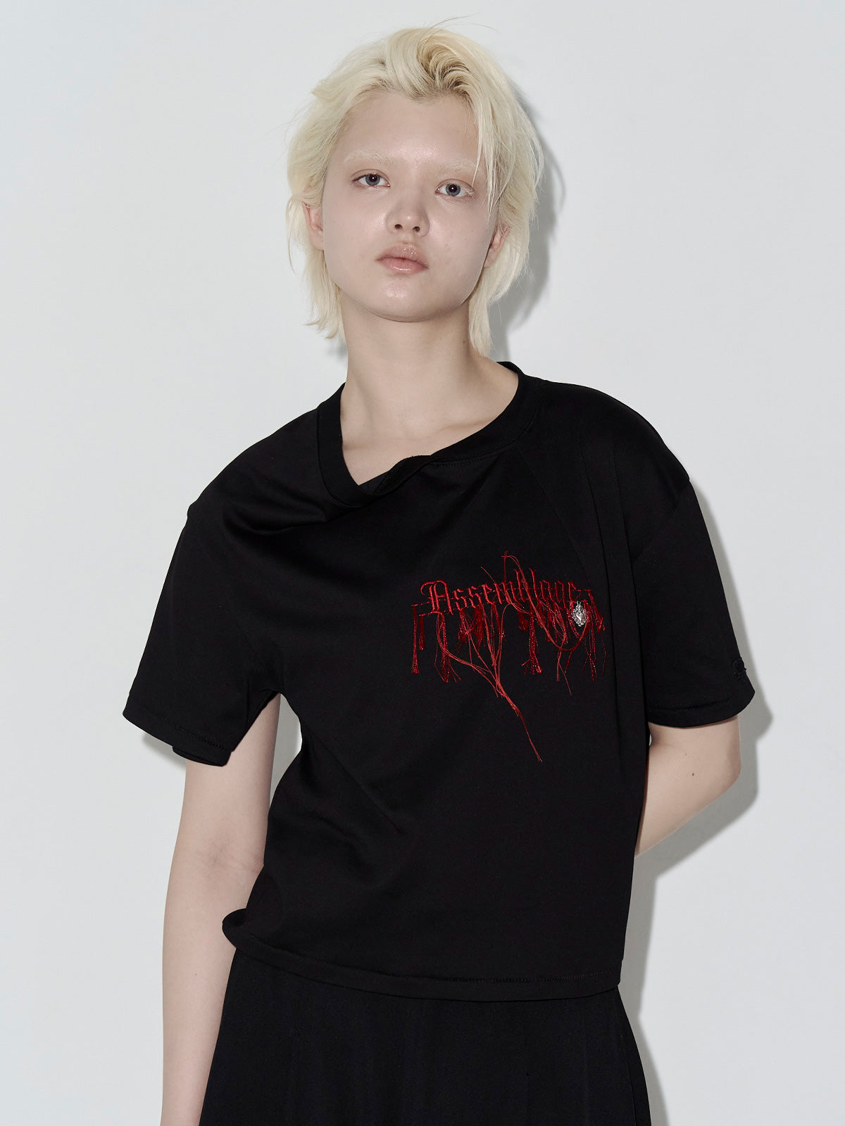 Embroidery LOGO Tshirt