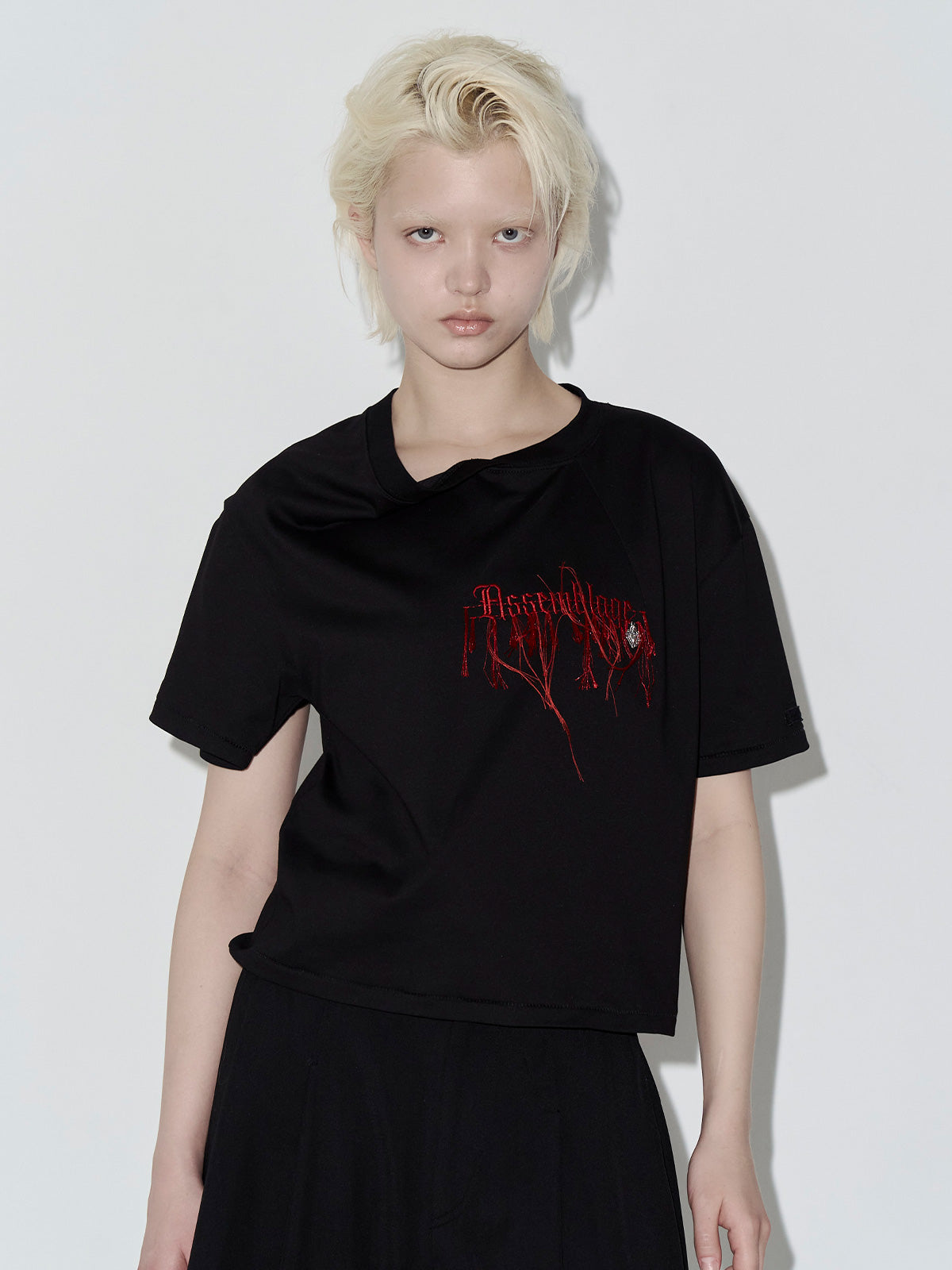 Embroidery LOGO Tshirt