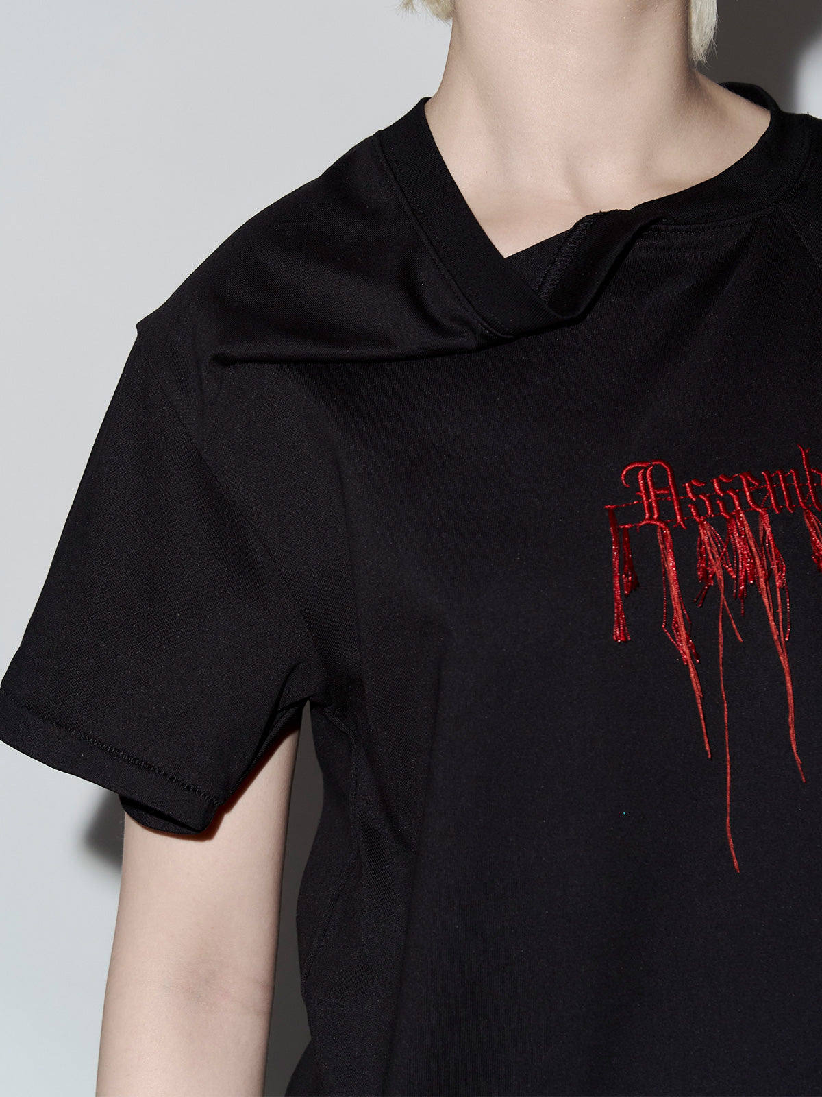 Embroidery LOGO Tshirt